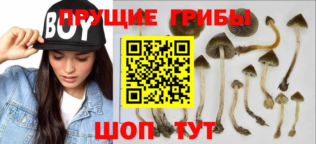 Галлюциногенные грибы прущие грибы  цены   Сорочинск  Вход с VPN 
