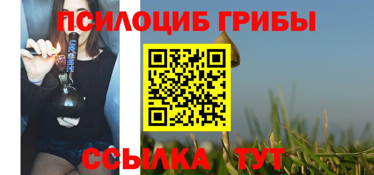 МЕФ Сорочинск
